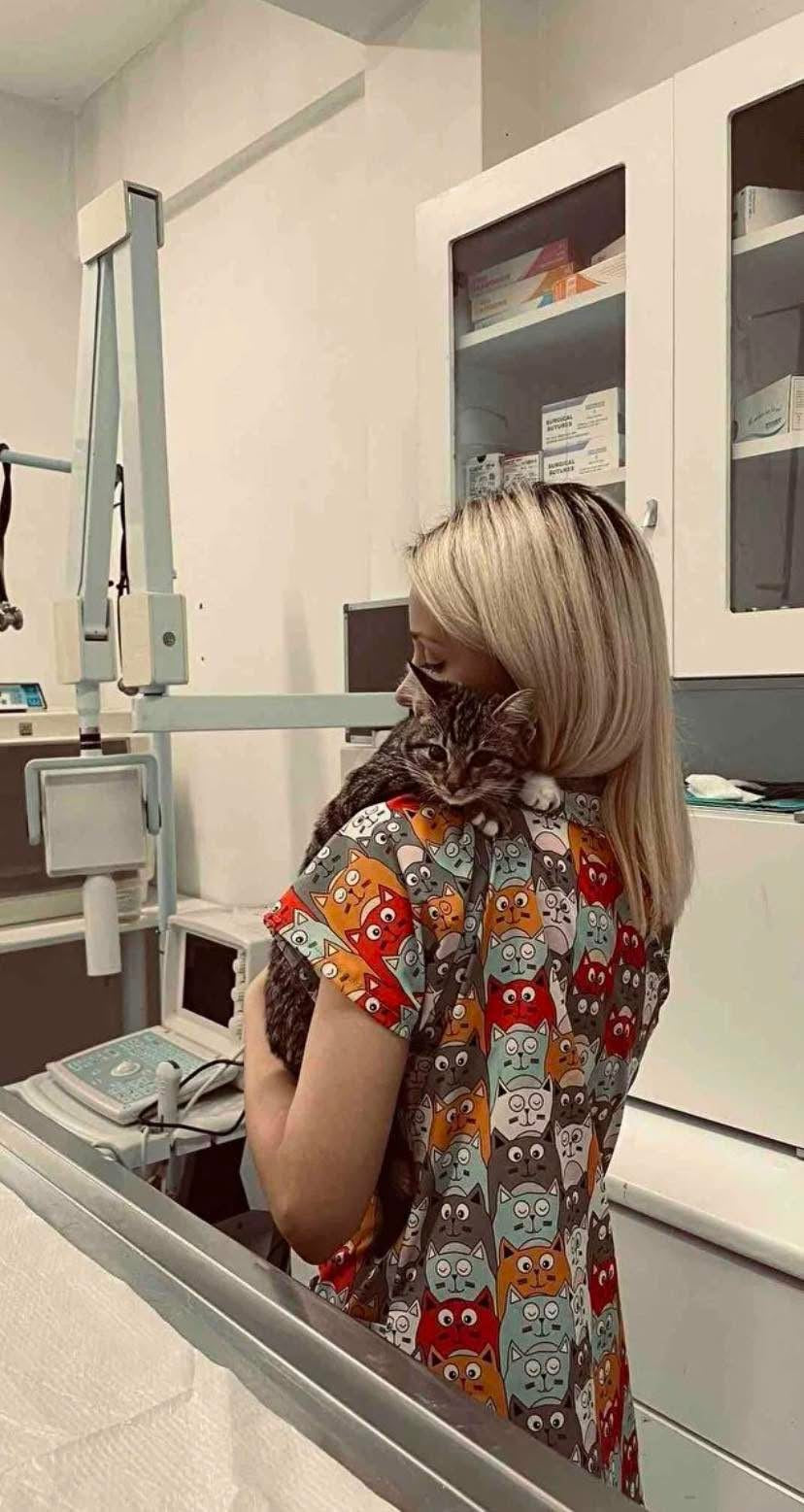 Coloured Cats Medical Top – Colorful Cat Prints for Pediatricians & Vets تــوب طبي برسومات قطط ملونة | مثالي لأطباء الأطفال والبيطريين